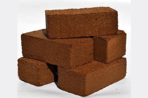 Coco Coir Bricks